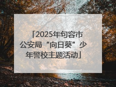 2025年句容市公安局“向日葵”少年警校主题活动