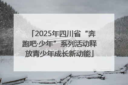 2025年四川省“奔跑吧·少年”系列活动释放青少年成长新动能