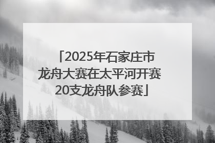 2025年石家庄市龙舟大赛在太平河开赛 20支龙舟队参赛