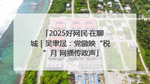 2025好网民·在聊城｜吴聿晟：党徽映“税”月 网播传政声