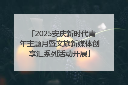 2025安庆新时代青年主题月暨文旅新媒体创享汇系列活动开展