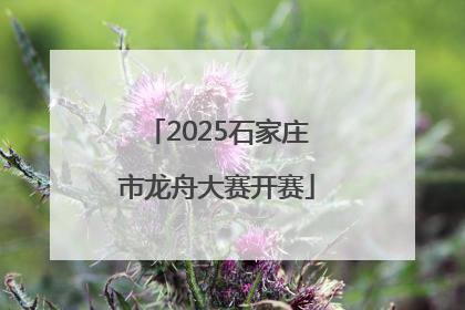 2025石家庄市龙舟大赛开赛