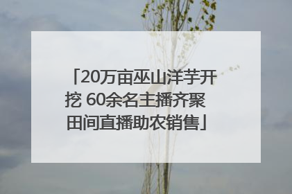 20万亩巫山洋芋开挖 60余名主播齐聚田间直播助农销售