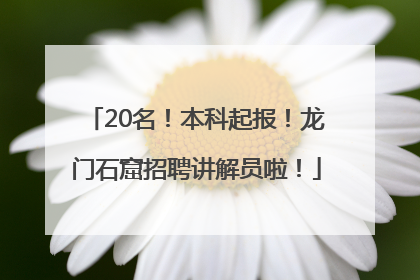20名！本科起报！龙门石窟招聘讲解员啦！