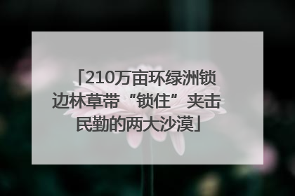 210万亩环绿洲锁边林草带“锁住”夹击民勤的两大沙漠