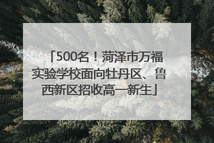500名！菏泽市万福实验学校面向牡丹区、鲁西新区招收高一新生