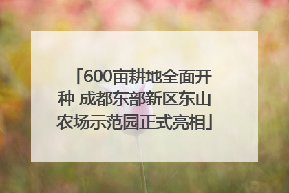 600亩耕地全面开种 成都东部新区东山农场示范园正式亮相