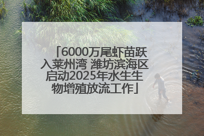 6000万尾虾苗跃入莱州湾 潍坊滨海区启动2025年水生生物增殖放流工作