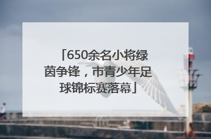 650余名小将绿茵争锋，市青少年足球锦标赛落幕