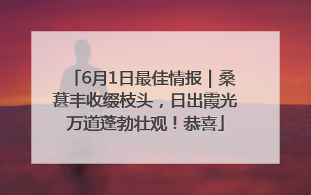 6月1日最佳情报｜桑葚丰收缀枝头，日出霞光万道蓬勃壮观！恭喜
