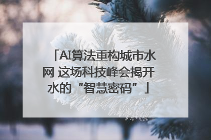 AI算法重构城市水网 这场科技峰会揭开水的“智慧密码”