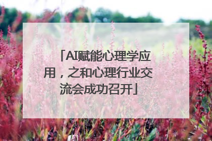 AI赋能心理学应用，之和心理行业交流会成功召开