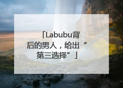Labubu背后的男人，给出“第三选择”