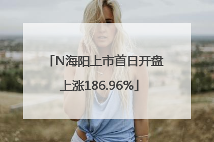N海阳上市首日开盘上涨186.96%