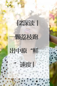 Z深读丨一颗荔枝跑出中原“鲜”速度